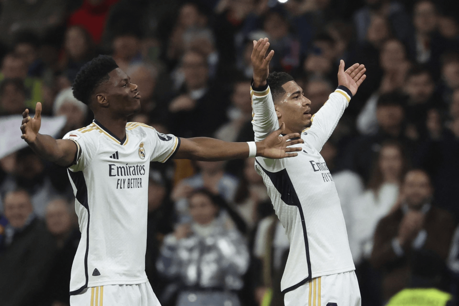 英超倒计时，纽卡斯尔窗口期绝杀压哨，细节引发关注，赛场秩序良好，纪律约束更严格的简单介绍-jiuyou官网入口